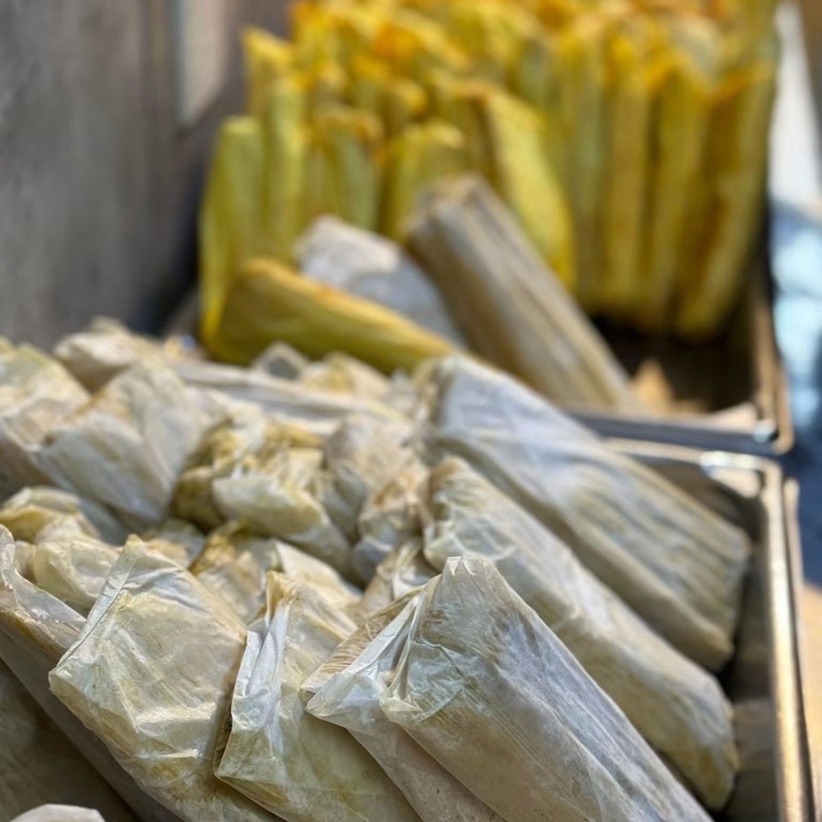 Trays of hand-wrapped tamales in corn husks, ready to steam